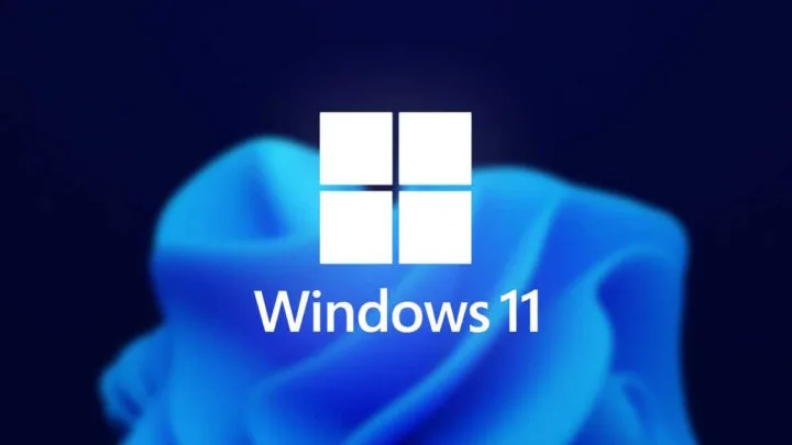 Windows 11
